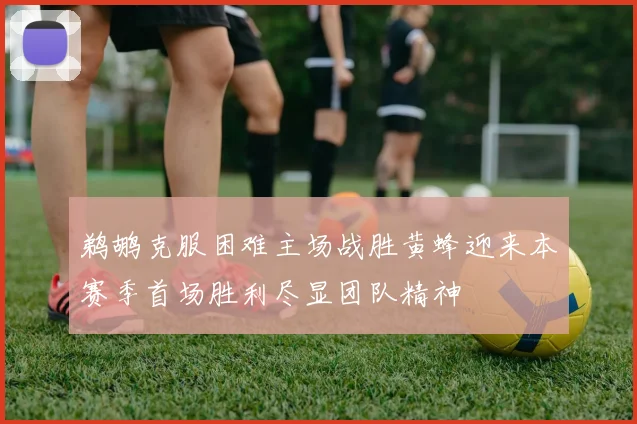 鹈鹕克服困难主场战胜黄蜂迎来本赛季首场胜利尽显团队精神