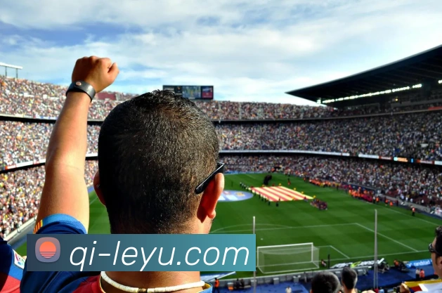 App Interface Preview